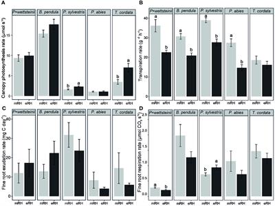 Adapting to climate change: responses of fine root traits and C exudation in five tree species with different light-use strategy